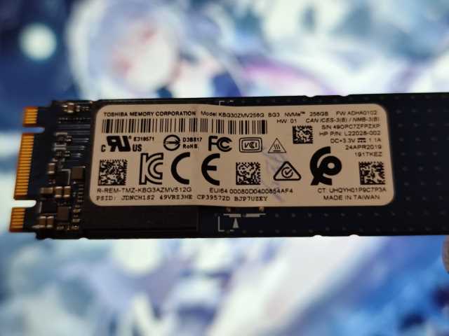 TOSHIBA KBG30ZMV256G