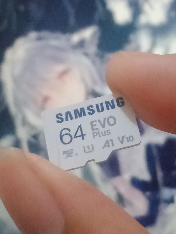 Samsung EVO Plus 64GB