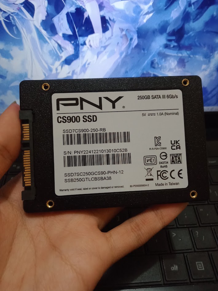 PNY CS900 250GB
